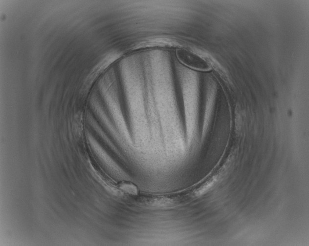 X0000073761233200608171348