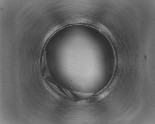 X0000073761234200608171348