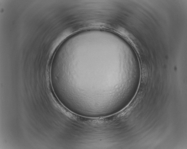 X0000073761235200608171348