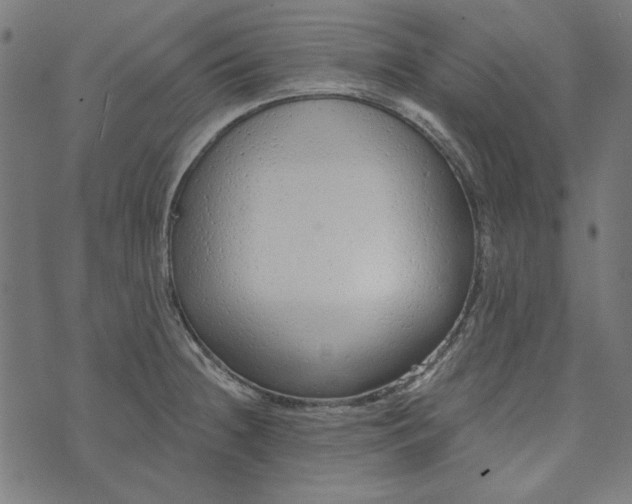 X0000073761236200608171348