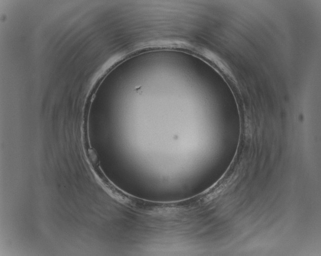 X0000073761237200608171348