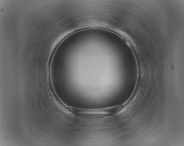 X0000073761238200608171348