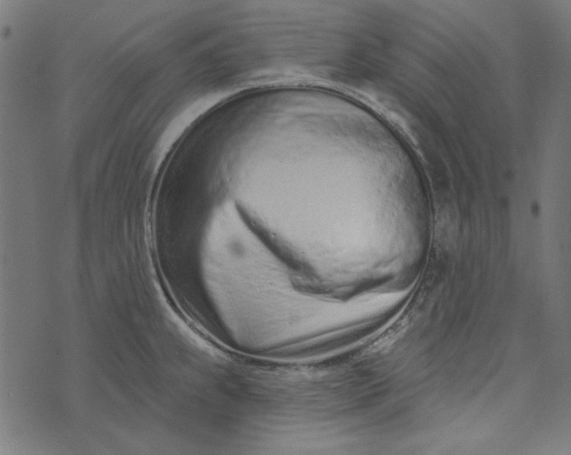 X0000073761239200608171348