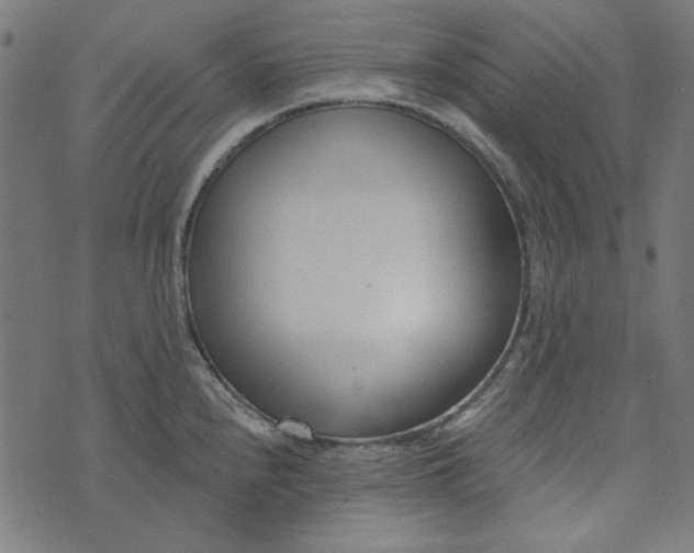 X0000073761240200608171348