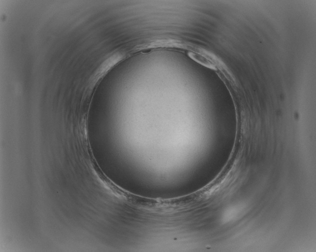 X0000073761241200608171348