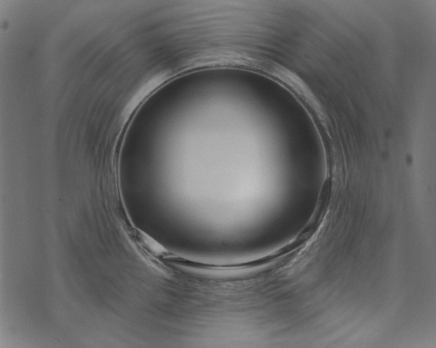 X0000073761242200608171348