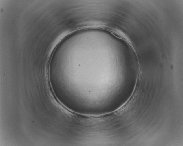 X0000073761243200608171348