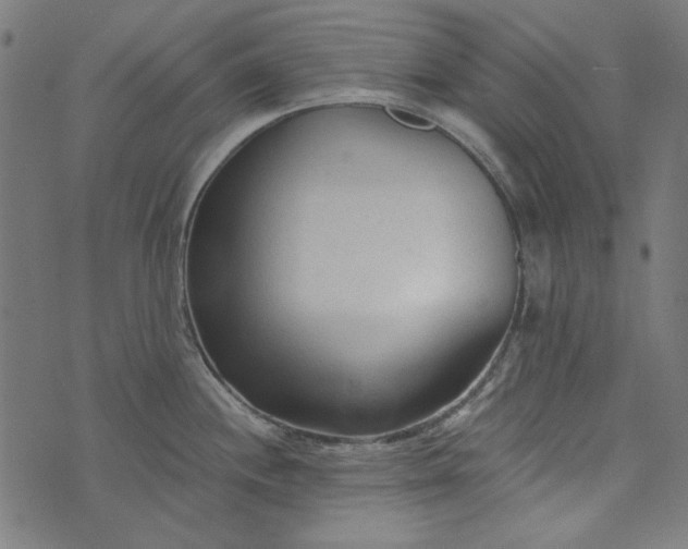 X0000073761244200608171348