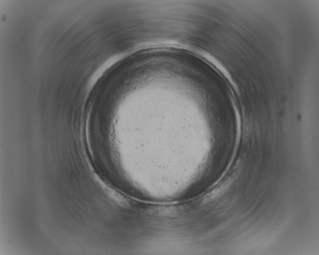 X0000073761245200608171348