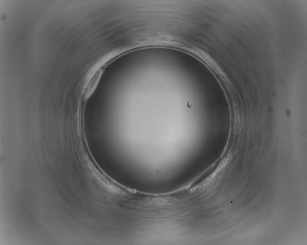 X0000073761246200608171348