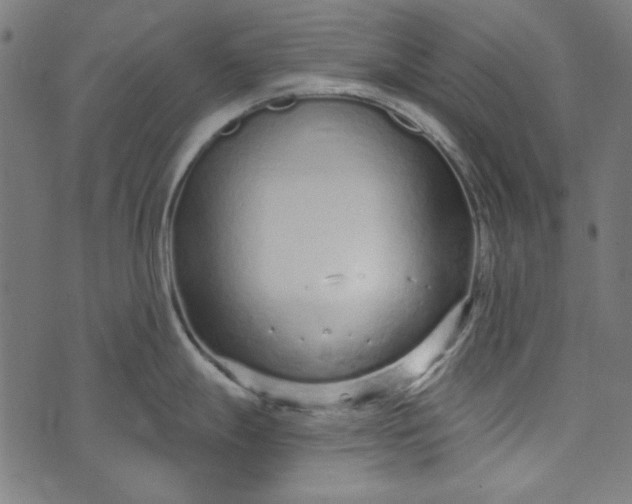 X0000073761247200608171348