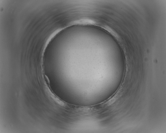 X0000073761248200608171348