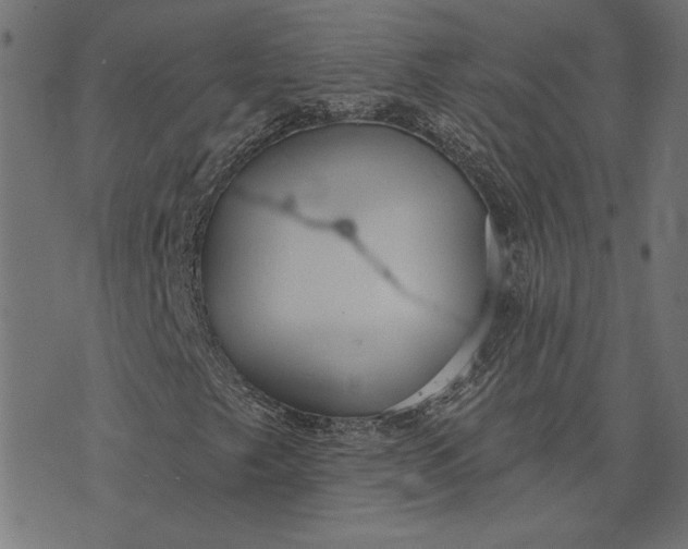 X0000073761249200608171348