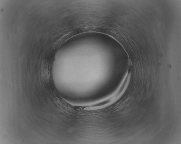 X0000073761250200608171348