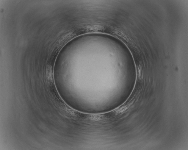 X0000073761251200608171348