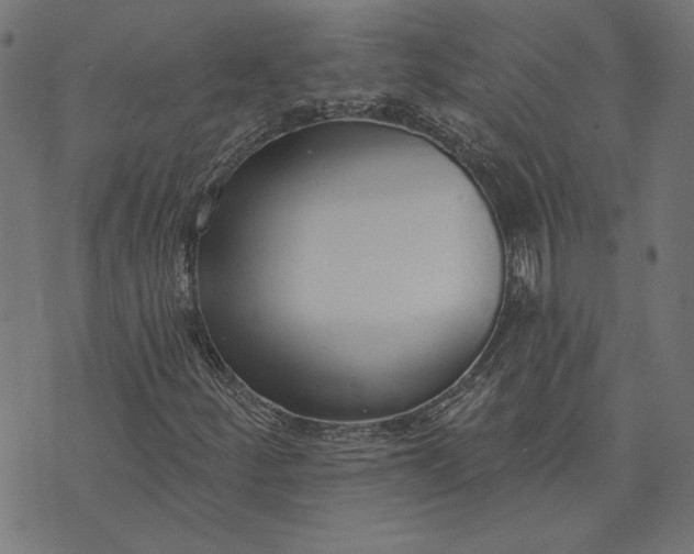 X0000073761252200608171348