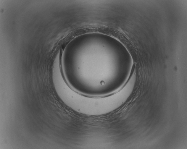 X0000073761253200608171348