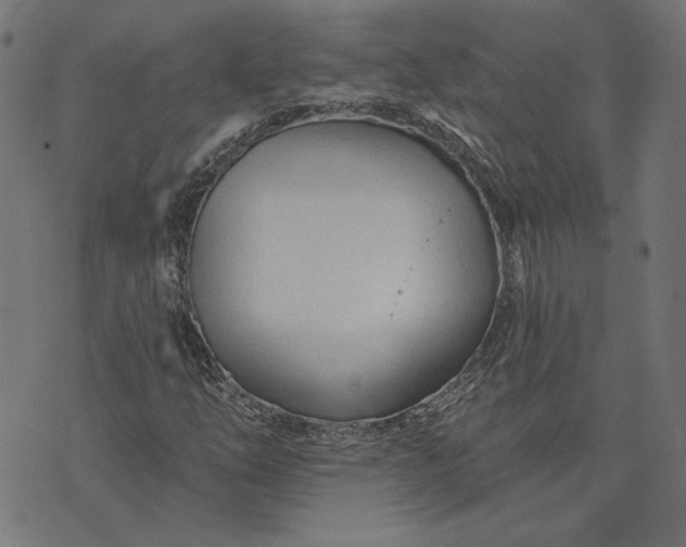 X0000073761254200608171347