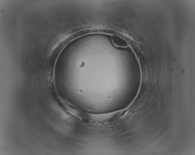 X0000073761255200608171347