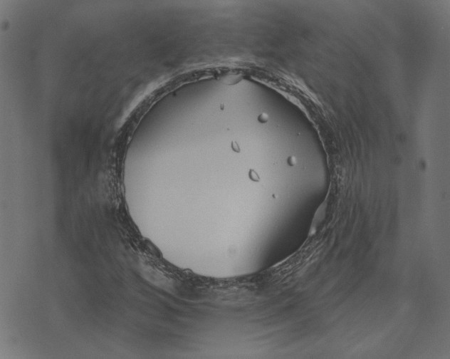 X0000073761256200608171347