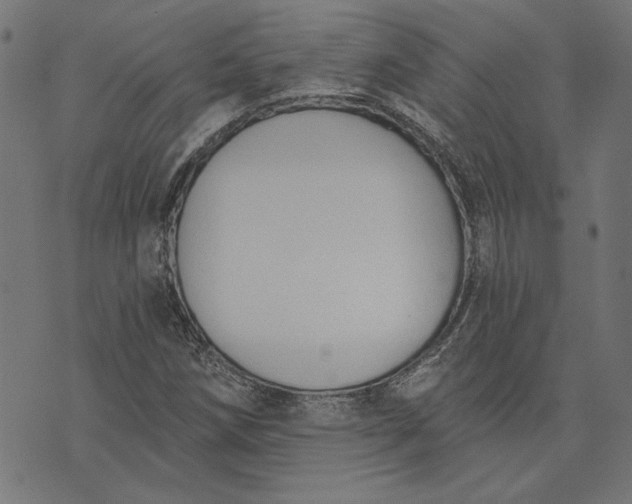 X0000073761258200608171347