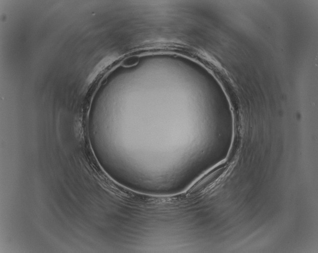 X0000073761259200608171347