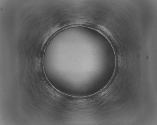 X0000073761260200608171347