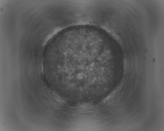 X0000073761262200608171347