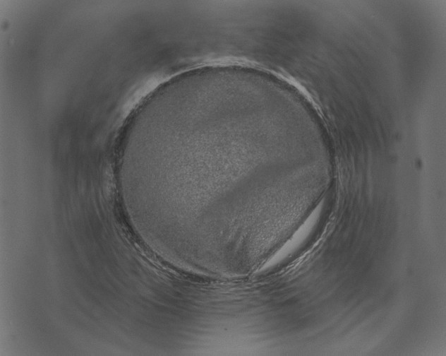 X0000073761263200608171347