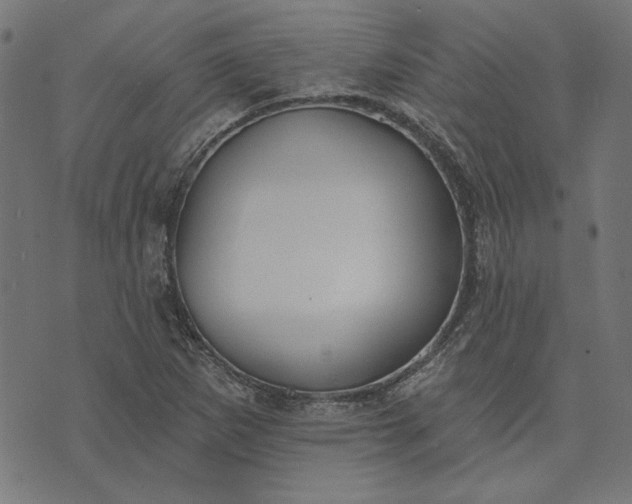 X0000073761265200608171347