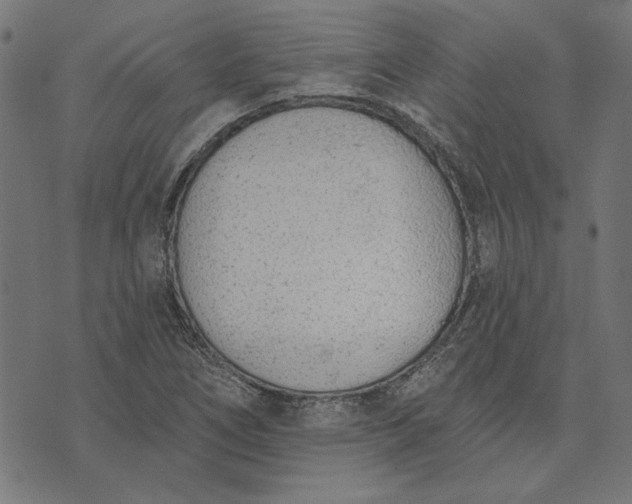 X0000073761266200608171347