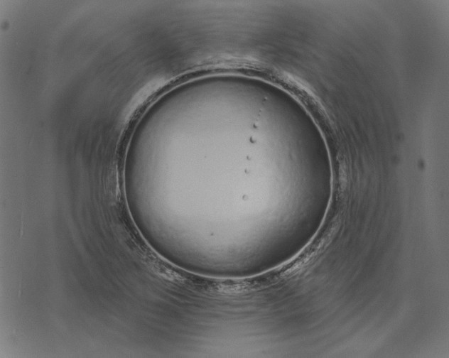 X0000073761267200608171347