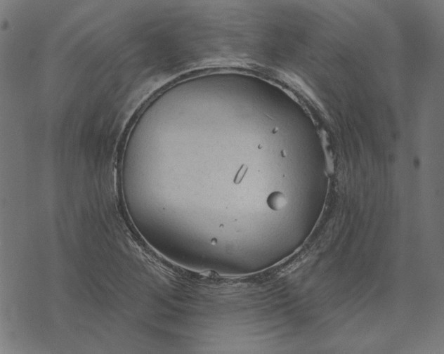 X0000073761268200608171347