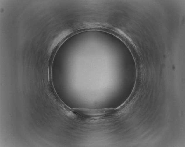 X0000073761269200608171347