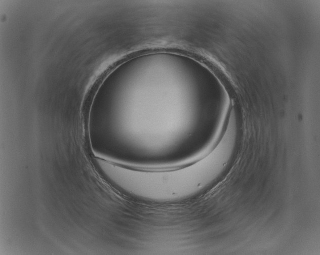 X0000073761270200608171347