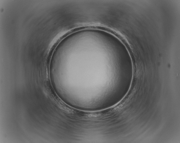 X0000073761271200608171347