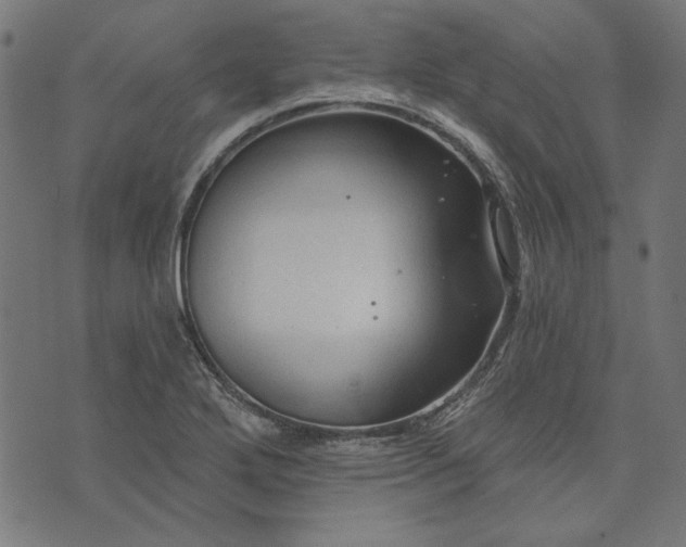 X0000073761272200608171347