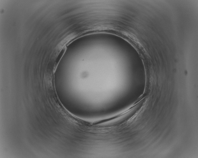 X0000073761273200608171347