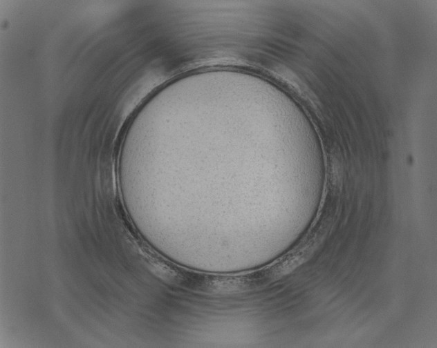 X0000073761274200608171347