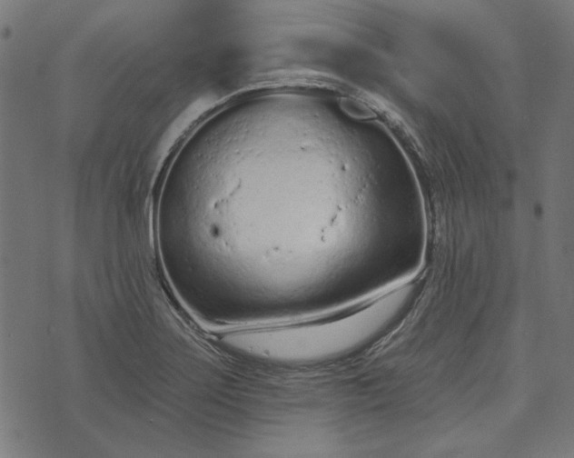 X0000073761275200608171347