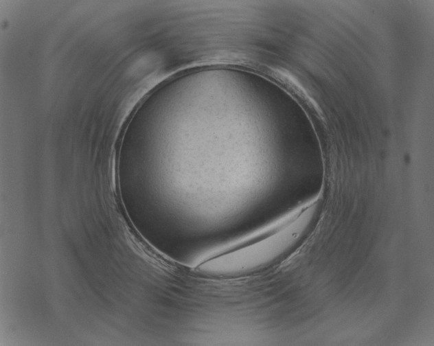 X0000073761276200608171347