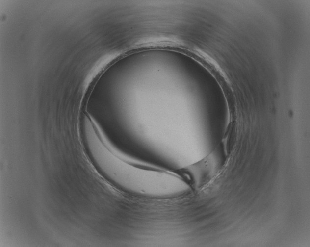 X0000073761277200608171347