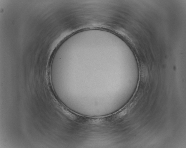 X0000073761278200608171347