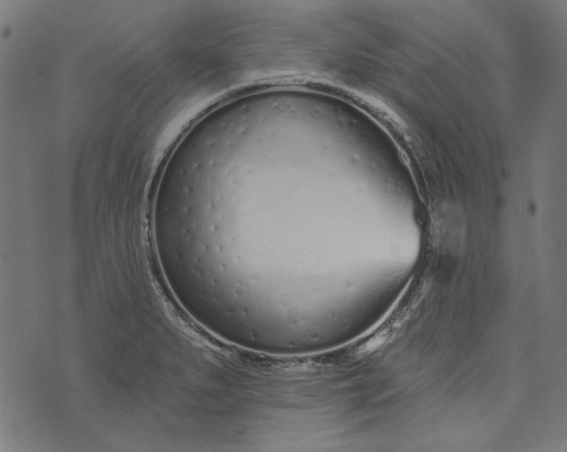 X0000073761279200608171347