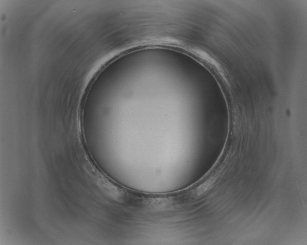 X0000073761280200608171347