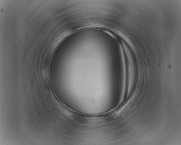 X0000073761281200608171347