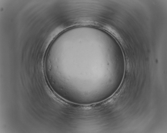 X0000073761283200608171347