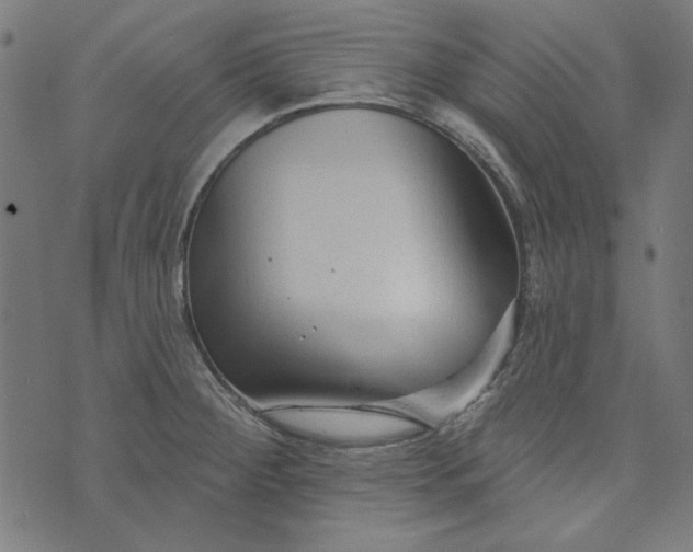 X0000073761284200608171347