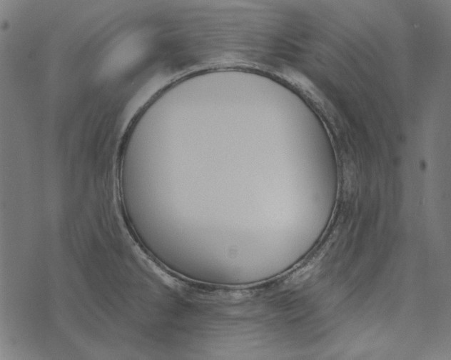 X0000073761286200608171347