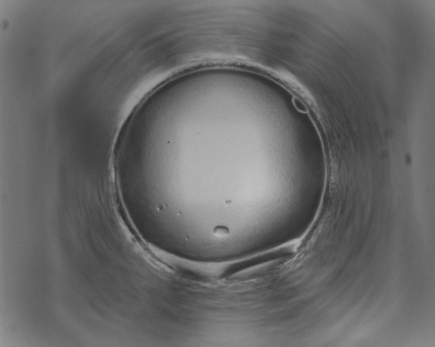 X0000073761287200608171347